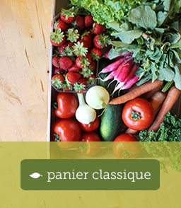 page-panier-classique